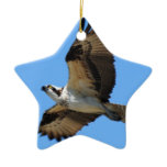 Osprey Bird Ornament