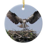 Osprey Nest Ornament