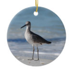 Piping Plover Ornament