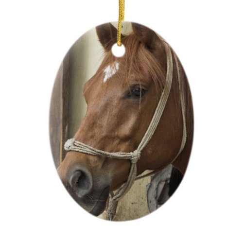 Arab Horse Ornament