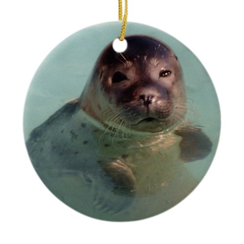 Baby Seal Ornaemnt Ceramic Ornament