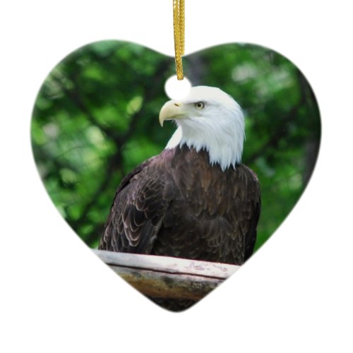 Bald Eagle Bird Ornament
