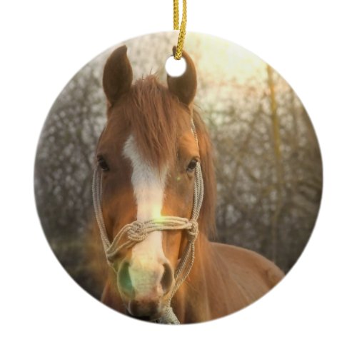 Chestnut Arab Horse Ornament