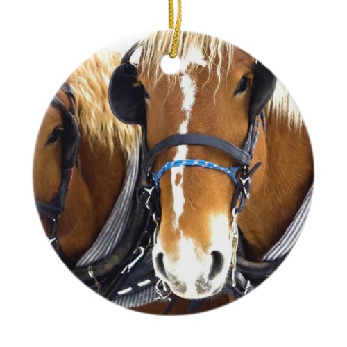 Clydesdale Draft Horse Ornament