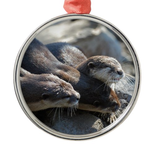Cuddling Otters Metal Ornament