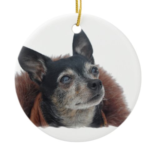 Cute Chihuahua Ornament