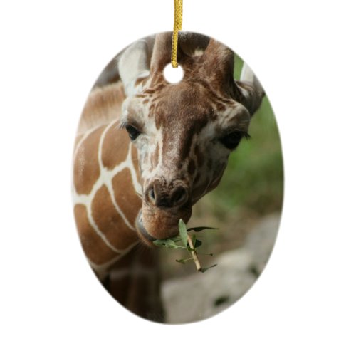 Giraffe Snack Ornament