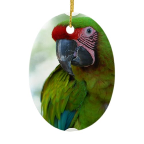 parrot-63.jpg ceramic ornament