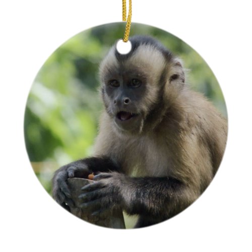 Playful Monkey Ornament