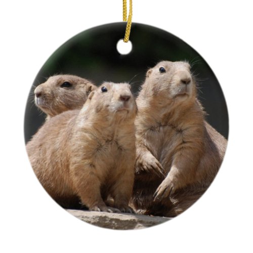 Prairie Dog Family Ceramic Ornament