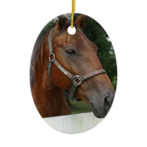 Quarter Horse Photo Ornament