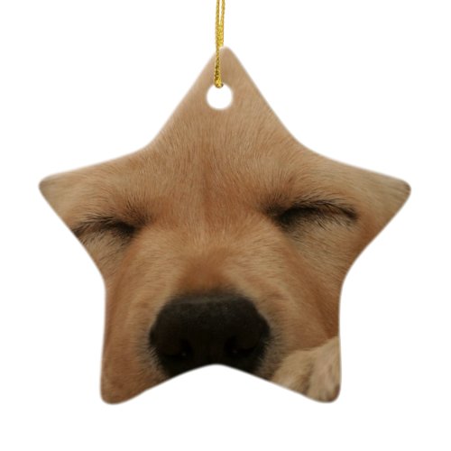 Sleeping Golden Retriever Ornament