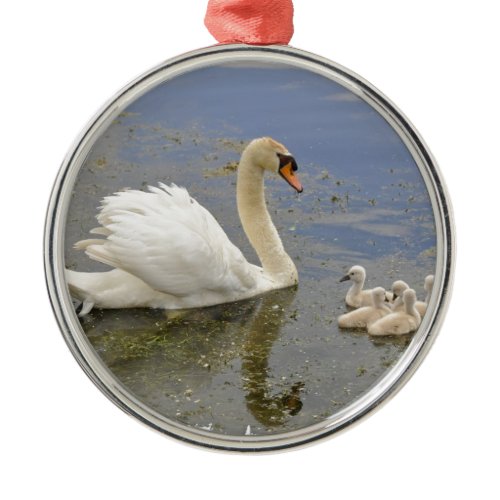 Swan Family Metal Ornament