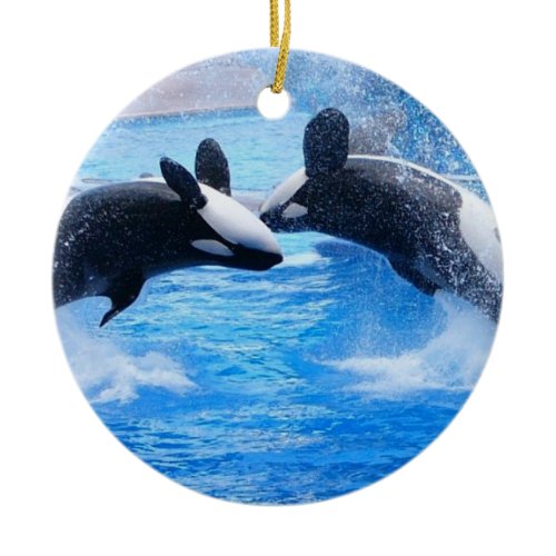 Whale Photo Ornament